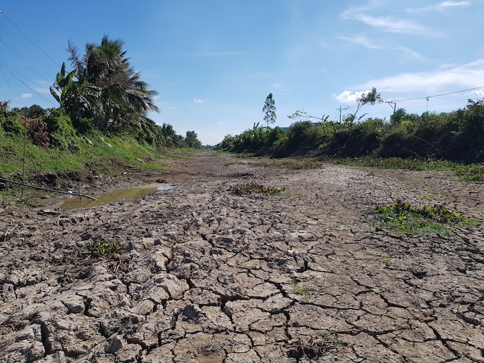 Intrusion saline Plus de 210 000 ha de terres agricole et aquacole menacés